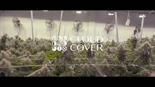 Tour Cloud Cover Cannabis In Portland Oregon On The West Coast Weed Tour
