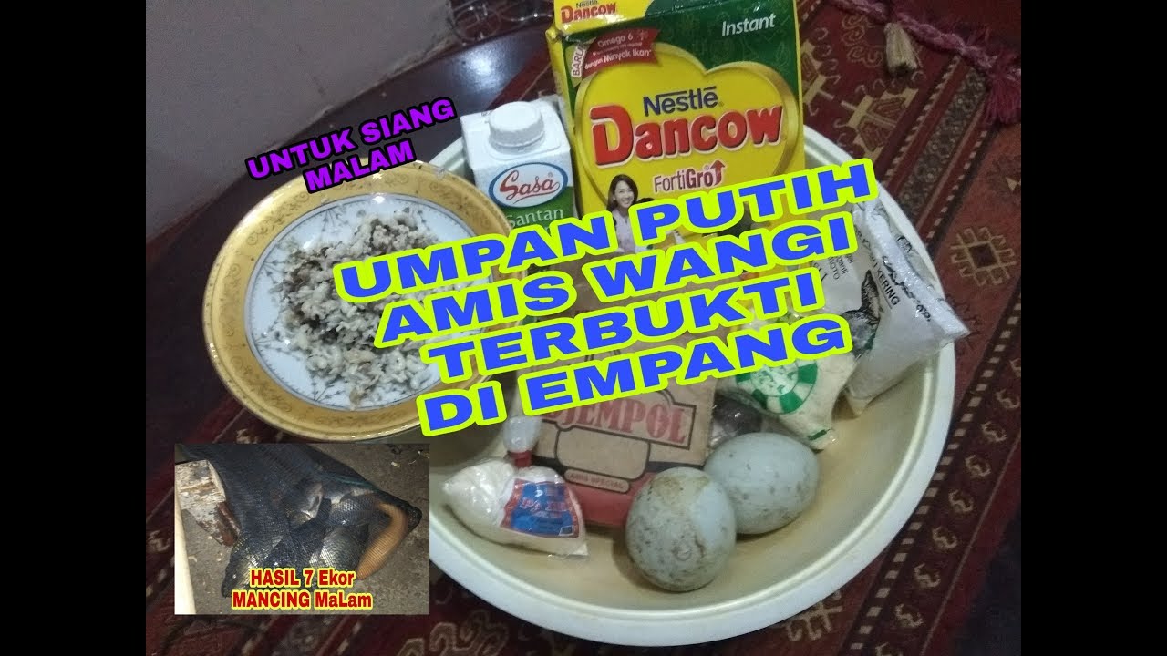 UMPAN PUTIH IKAN MAS AMIS WANGI TERBUKTI
