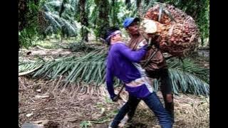 Sasak terbaru 2017 PENGANTEN BURUNG