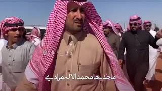 شيله | محمد بن جخدب 🔥👏🏻 | اداء : محمد ال نجم⚡️👍🏻