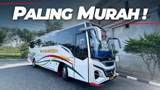 HONESTLY, DIDN'T EXPECT IT TO RUN ON THIS ROUTE AT ALL ‼️ New Breakthrough from PO Mila Sejahtera