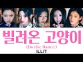 빌려온 고양이 Do The Dance ILLIT 아일릿 パート分け 日本語字幕 歌詞 和訳 カナルビ 빌려온 고양이 Do The Dance ILLIT 아일릿 パート分け 日本語字幕 歌詞 和訳 カナルビ