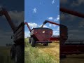 Case 5130 Ayacucho #parati #viralvideo #campoargentino #campo #farming