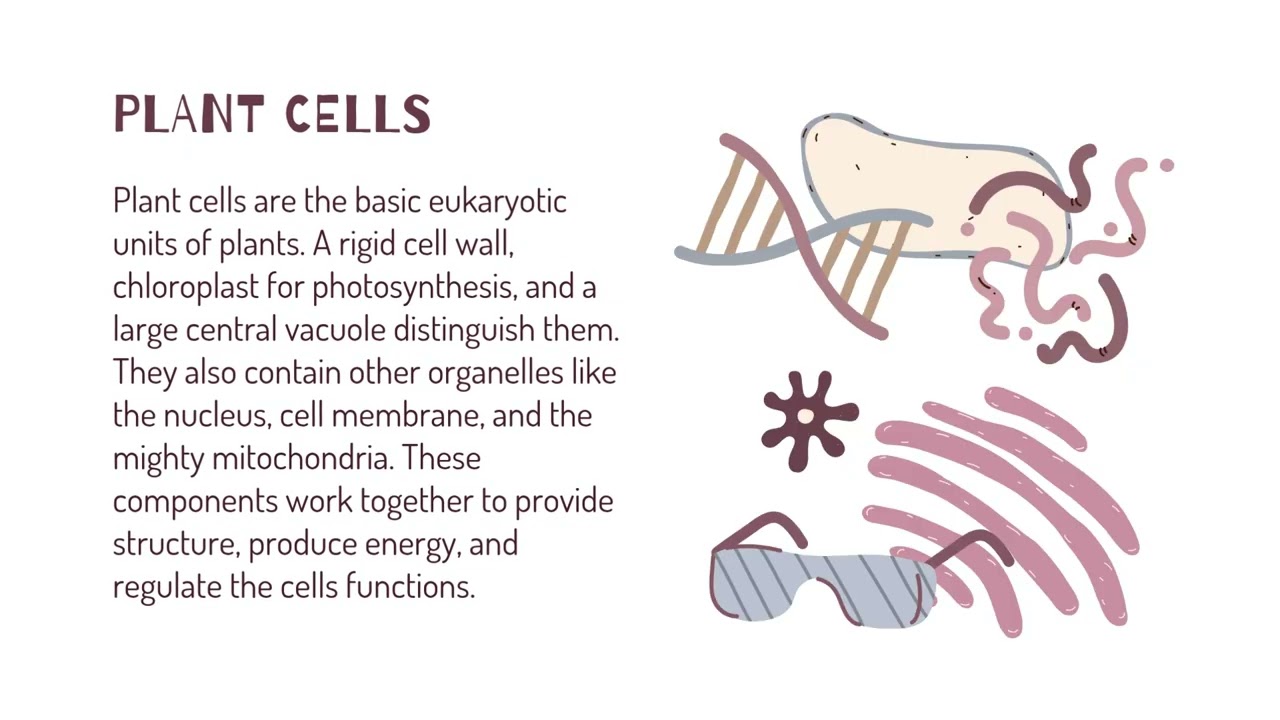 Plant Cells- Bidlack Biology Creative Project
