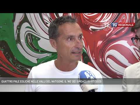 QUATTRO PALE EOLICHE NELLE VALLI DEL NATISONE: IL 'NO' DEI SINDACI | 11/07/2025