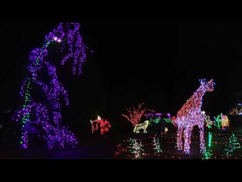 The Garden Of Lights At Brookside Gardens Youtube