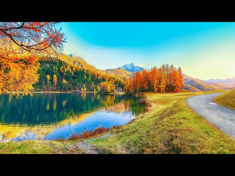 Beautiful Relaxing Music for Stress Relief 🌿 Slow Down An Overactive Mind 🌿5