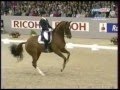 Dressage freestyle to music