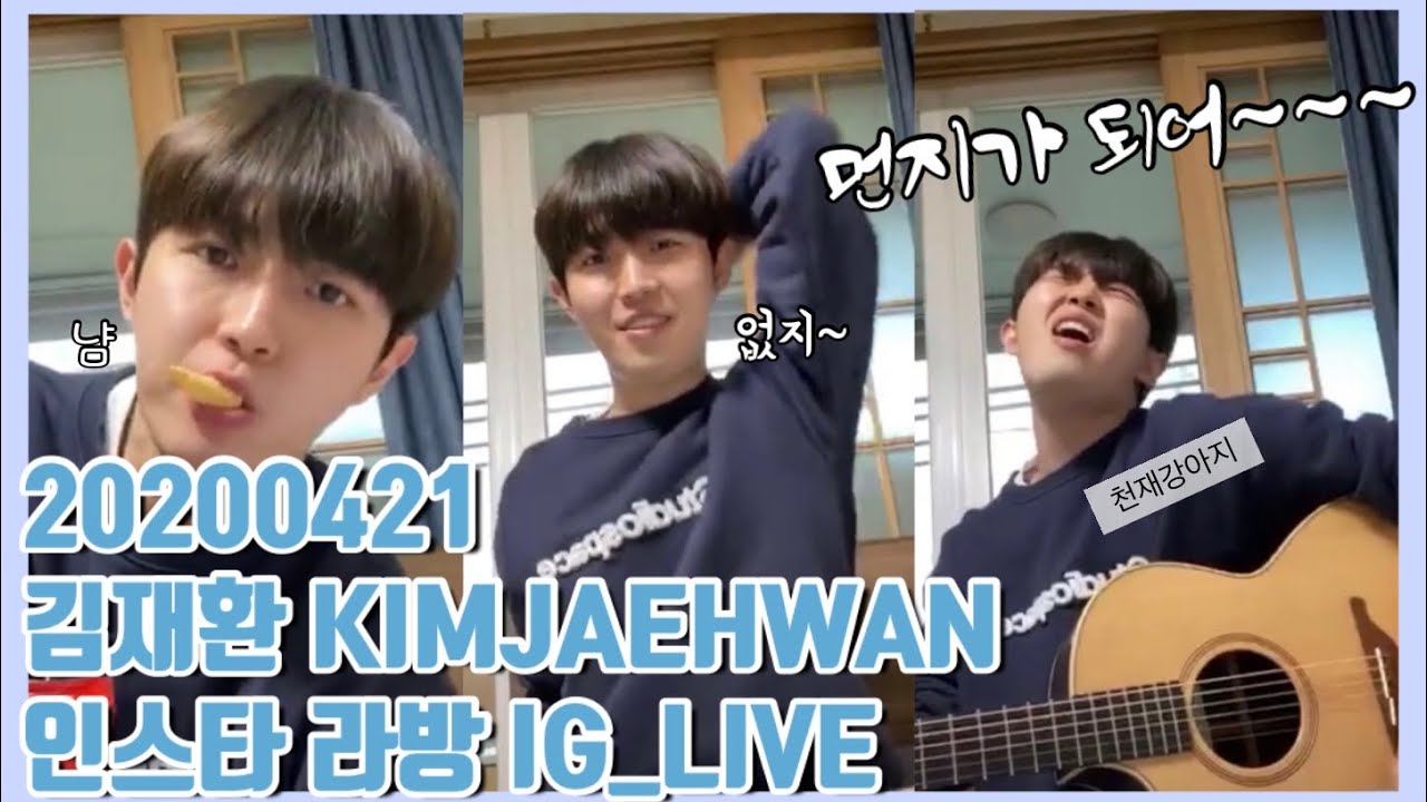 천재강아지 김재환의 저세상텐션 인스타 라방 하이라이트