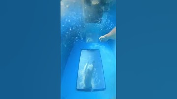 How to swim in an endless pool