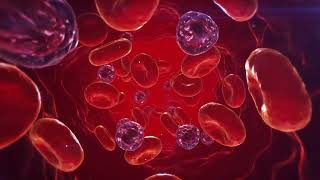 Platelets and Red Blood Cells in the Blood Stream | EdUniverse_Labs