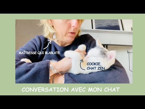Conversation avec mon chat - Chat 4