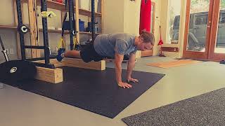TRX Plank + Shoulder Tap