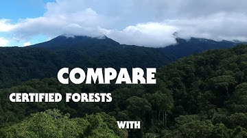 FSC Impact Dashboard