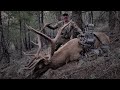 Solo elk hunt for wide 6pt bull with tim burnett