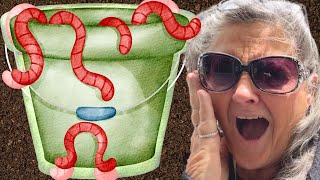 I've Got Worms! My New Hobby as a Worm Farmer and How To Start a Tiny Home Vermicompost Bin  S9.E55