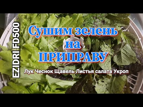 Приправа #3. Сушим травы 🌱салаты🥬 разную зелень 🌿. Листья салата, укроп, щавель, чеснок сушим.