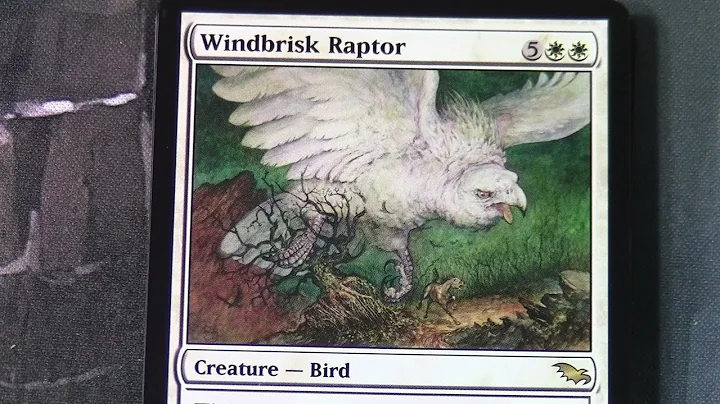 Magic The Gathering - Shadowmoor Artwork - Elementals, Scarcrows and Duos, Oh My