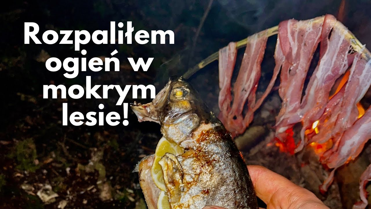 Sprawdzałem się, czy rozpalę ogień w mokrym lesie – ryba z ogniska