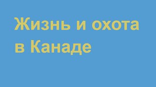 Жизнь и охота в Канаде о городе в котором я живу и про охоту