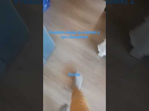 to działa