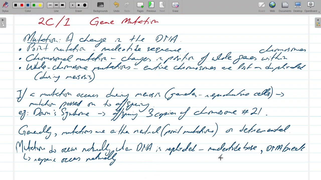 AS Biology - Cambridge/ AQA/ Edexcel - Session 2025-26 - Class # 19