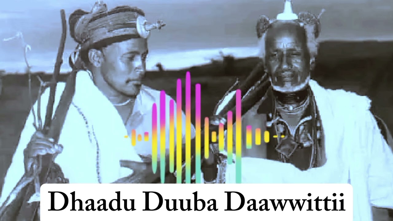 Dhaadu Aabba Duuba Daawwitti Soraa
