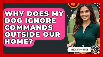 Why Does My Dog Ignore Commands Outside Our Home? - Obedient Dog Guide