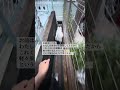 最後足止めするの草www#shorts 