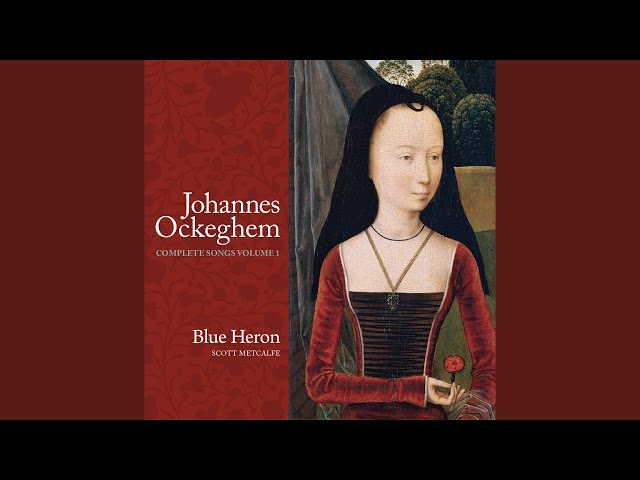 Blue Heron - O rosa bella