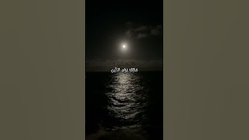 #سورة_الفاتحة #قرآن #قرآن_كريم #قران_كريم #قران #تلاوات #تلاوة_خاشعة #تلاوة #تلاوة_هادئة #quran