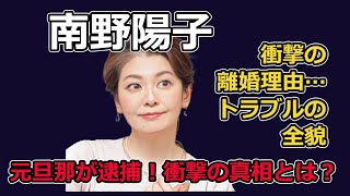 南野陽子の元旦那・金田充史の衝撃逮捕！離婚理由とトラブルの全貌を徹底解説