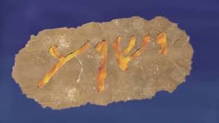 Father יהוה Son ישוע Names Org Hebrew יהודי Tongue לשון