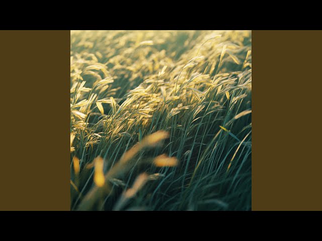 Lumière Éternelle (Wind)