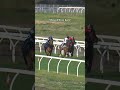 What did you make of Sheza Alibi’s first jump out back? 😊