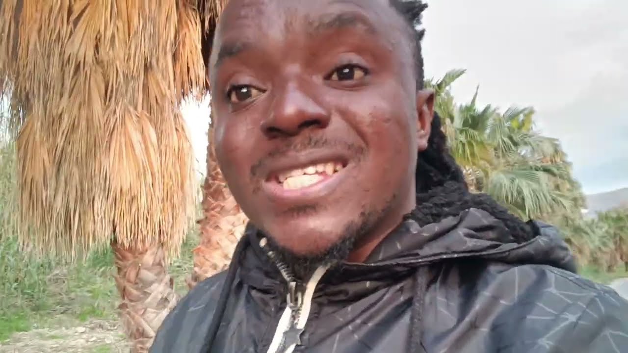  They're Looking Stupid And Everything About look Stupid, Not Meet You Where they Lefted 