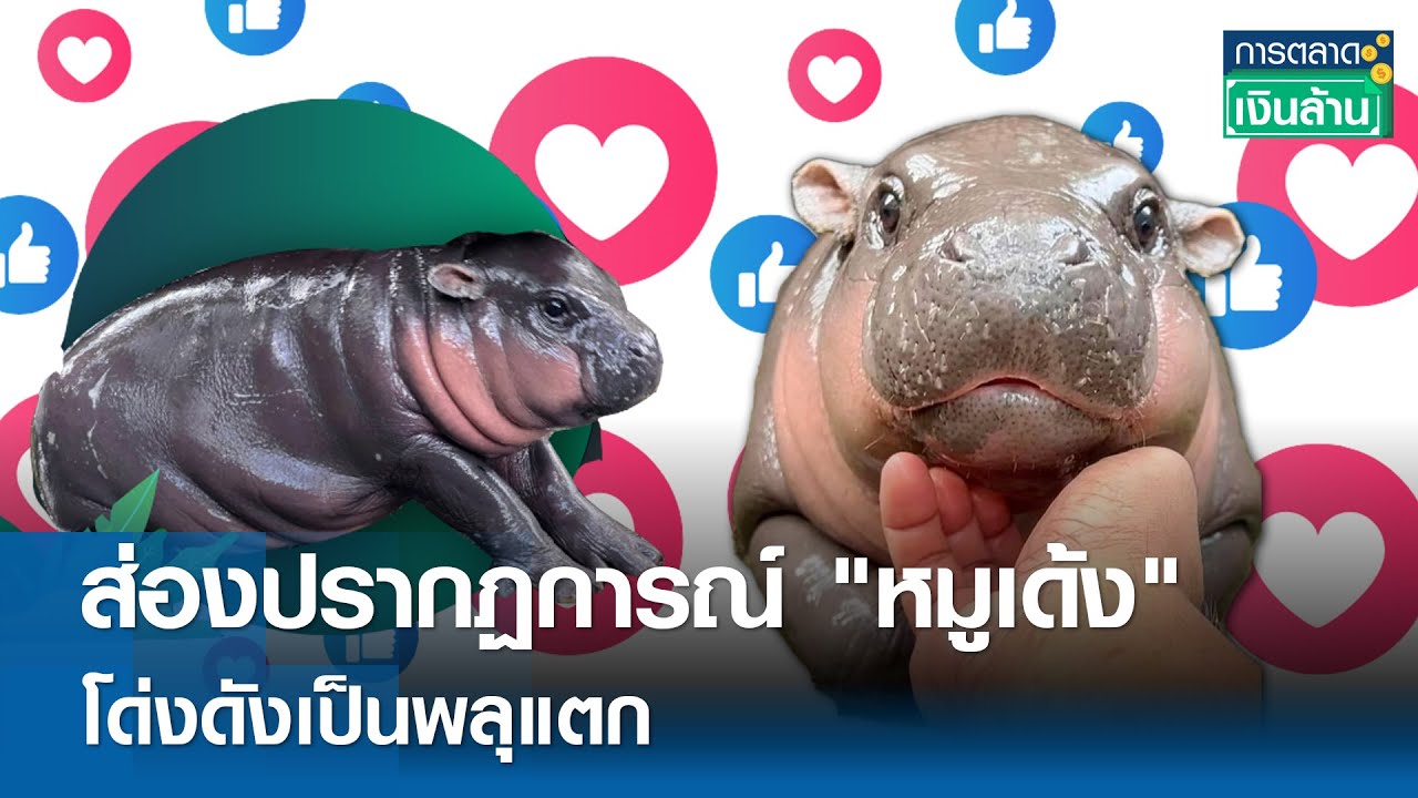 ส่องปรากฏการณ์ 