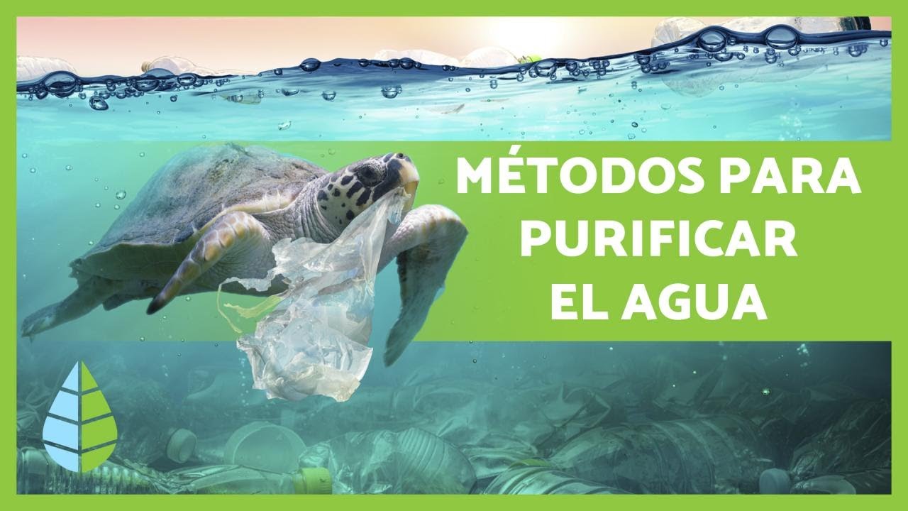 Cómo EVITAR la CONTAMINACIÓN del AGUA - 10 consejos