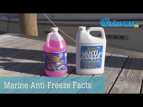 STAR BRITE -200°F Super Concentrated Antifreeze Antigel, Gallon