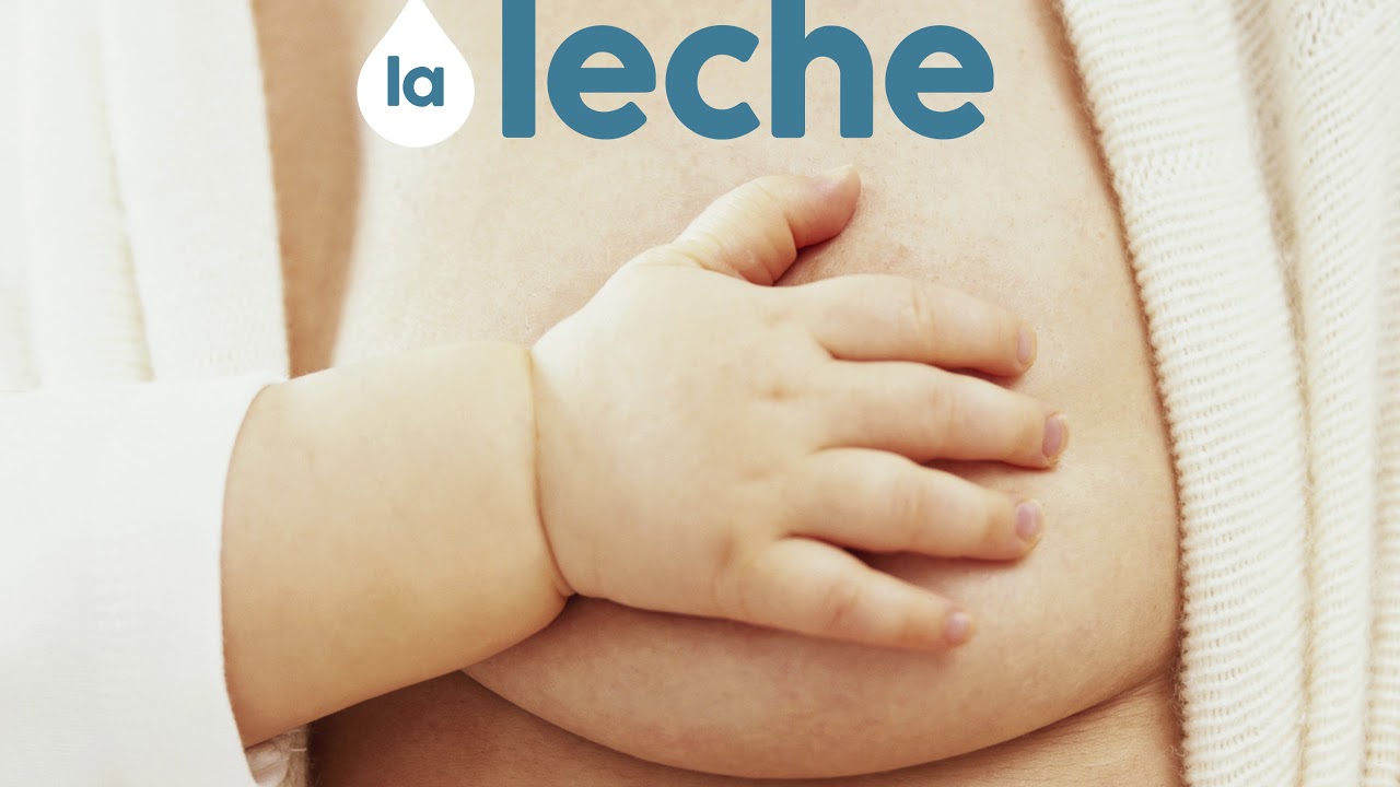 Somos de leche by Alba Padró · OverDrive: ebooks, audiobooks, and more for  libraries and schools