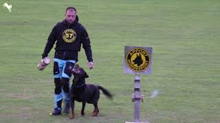 Ossian Modin and Tapto´s Extreme  3rd place 3. Place Rottweiler World Championship 2018
