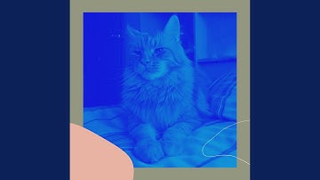 Background for Lazy Cat Days