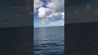 Leaving Bimini Bahamas on the Jewel of the Seas