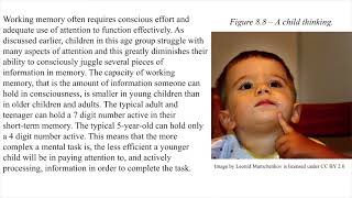 Famous Ch. 8 Information Processing: Attention & Memory Net Worth