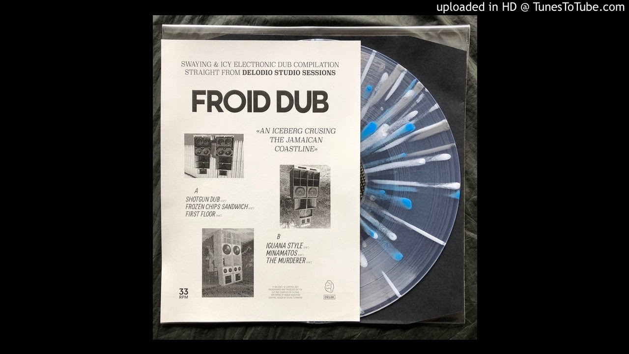 PREMIERE | Froid Dub - Iguana Style [Delodio] 2021