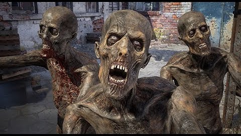 Decayed Zombie E Motions and Materials Test