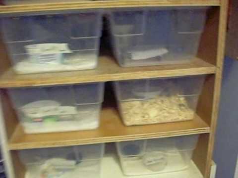 leopard print *NEW* Rack and an Update