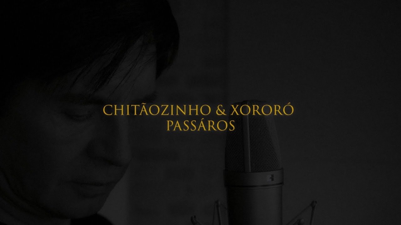 Chitaozinho Xororo Passaros Youtube