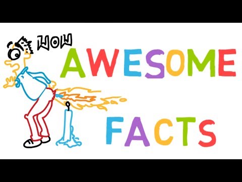 Fart Facts. Can you burn a fart? Why fart smells? Where farts come from?