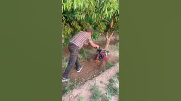Mini Tiller Machine in Action | Powerful Farming Tool for Easy Soil Preparation part 698